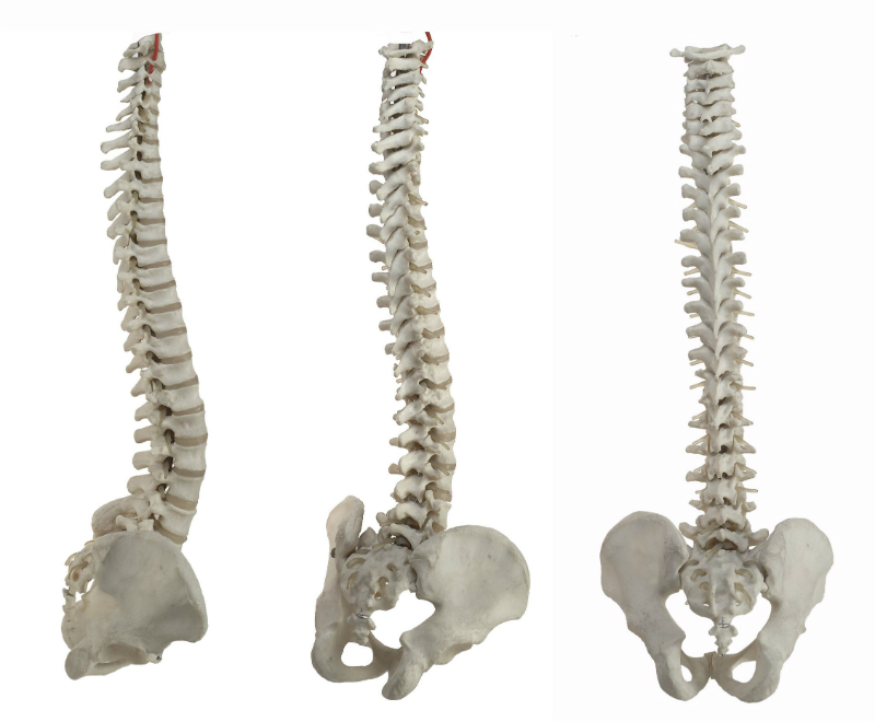 Benefits of an Accurate Diagnosis and Pain Treatments at a Spine Center