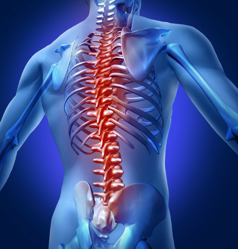 When Jacksonville Residents Should Consult Professionals for Back Pain