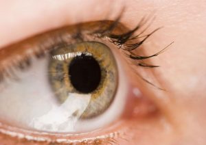 Using Macular Degeneration In Boca Raton Magnifiers